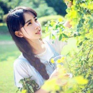 埃及公主的传说修改版